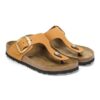 Gizeh Big Buckle Nubukleder